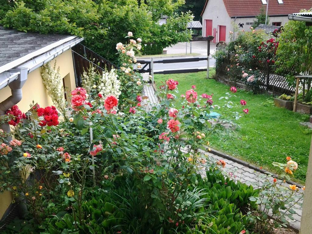 Ferienhaus Waldblick Sangerhausen Eksteriør bilde