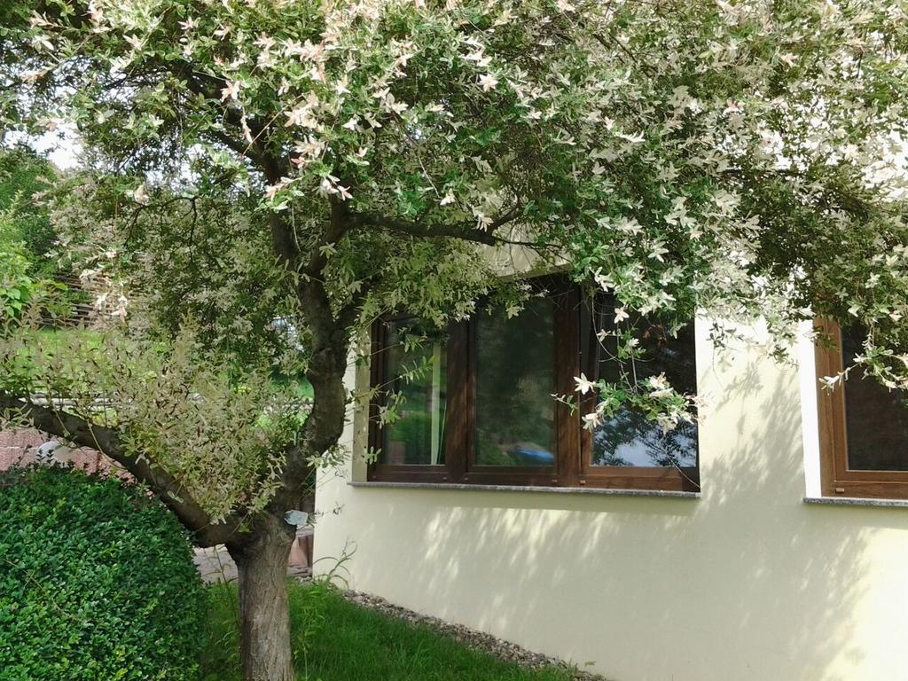 Ferienhaus Waldblick Sangerhausen Eksteriør bilde